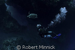 Malena and a Green sea turtle by Robert Minnick 